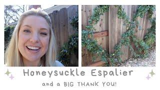 A Closer Look at My Espaliered Honeysuckle in My Narrow Side Yard! :: THANK YOU @gardenanswer!!