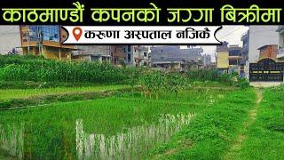 काठमाडौँ कपनको जग्गा बिक्रीमा  |  Land on sale at Kapan, Kathmandu