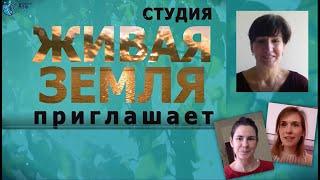 О нетворкинге в Академии эволюции разума.