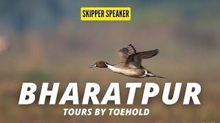 Bharatpur Tours by Toehold | Photography Tours to Bharapur