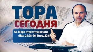 43. Мера ответственности (Исх. 21:28-36; Втор. 22:8)