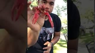 How To Eat Crawfish (The Easiest Way to Peel and Eat)