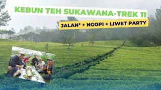 Hiking ceria Kebun Teh sukawana Trek11 - Lembang | ngopi + liwet party