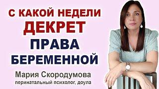 Когда можно уйти в декрет? Какие права у беременной на работе?