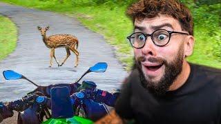 IL SE PRENDS UNE BICHE EN MOTO ! (React Motos)