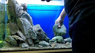 200 liters New Malawi Tank setup | Demasoni & Interruptus