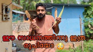 തെങ്ങിന്റെ മാണ്ട കഴിച്ചിട്ടുണ്ടോ?   കഴിച്ചുനോക്കണം 