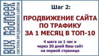 Шаг 2: Трафик на сайт. Продвижение сайта по трафику пошаговая инструкция Radneek