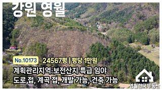 [영월임야] 계획관리 보전산지 도로 접한 최상급 임야, 임업인 예비임업인 주목하세요! 좋은 임야 나갑니다~ #영월한국부동산