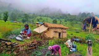 The most beautiful Himalayan natural village lifestyle