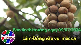 Bản tin thị trường (09/072024): Nông dân Lâm Đồng vào vụ thu hoạch mắc ca