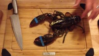 How to kill a lobster humanely, the way chefs do it. *graphic content*