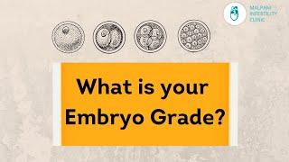 IVF | What do Embryo Grades mean ?
