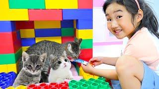 Boram and her kittens - how to take care about your pet