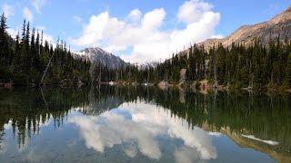 Olympic National Park - Backpacking Hike to Royal Basin, Fly Fishing for Brook Trout