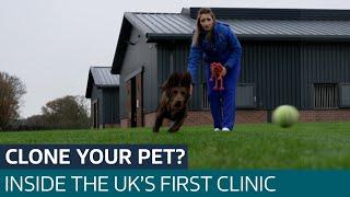 Inside the UK’s first pet cloning clinic where owners try to replicate their furry pals | ITV News