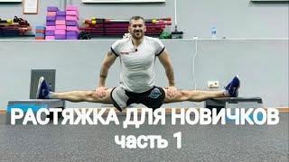 Растяжка для новичков от Чемпиона Мира. Часть 1.