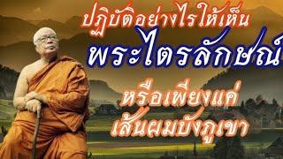 ปฏิบัติอย่างไรให้เห็นพระไตรลักษณ์ หรือเพียงแค่เส้นผมบังภูเขา