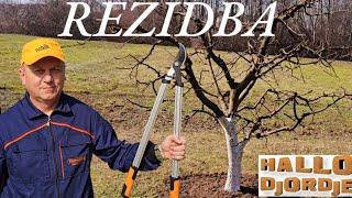 Apple pruning / Spraying / Fertilization