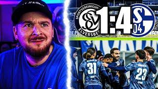 Er VERLÄNGERT  ELVERSBERG  vs SCHALKE 04 TALK | Der Keller Stream Highlights