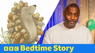 Idris Elba reads The Hedgehog’s Balloon | CBeebies Bedtime Story