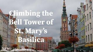 Climbing the Bell Tower of St. Mary’s Basilica Gdansk