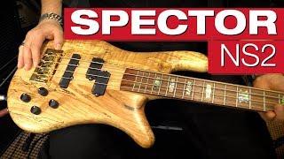 Spector NS2 Spalted Maple