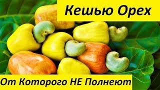 Кешью Орех от Которого НЕ Полнеют