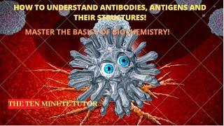 How To Understand Antibodies, Antigens, and their Structure | TheTenMinuteTutor