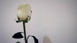 All of me - Dmitry Akimenko Choreography