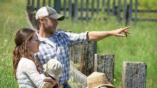 Farmgate to Dinner Plate