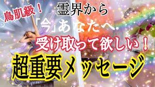 【超鳥肌級️】霊界からあなたへ「今」受け取って欲しい超重要メッセージ個人鑑定級タロット占い️