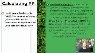 APES Notes 1.8 - Primary Productivity