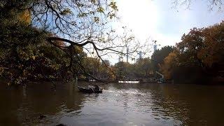 ⁴ᴷ⁶⁰ Walking NYC : Central Park during Autumn / Fall from 59th - 110th Streets