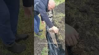 Кустам 3,5 года. Купили 2 года назад вот так в сумках. Урожай давали щикарный.  #жизньнаюге