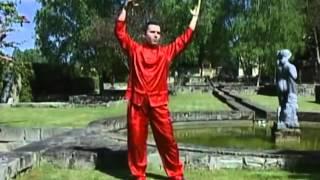 Tai Chi Chi Gong (25 min) NO es espejo