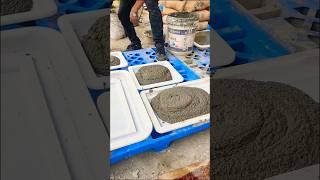 cement beehive making process in minute | plastic mold | cement crafts
