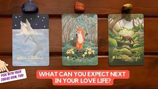 What Can You Expect Next in Your Love Life? | Timeless Reading