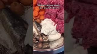 How To Feed Your American Bully Raw Meat: He Will LOVE THIS (And you for i...)