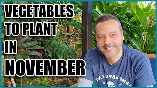 Vegetables to Plant in November - IN ANY CLIMATE!