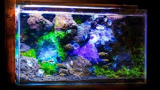 Glowing Crystal Gems Cave Aquarium (Underwater Fantasy Relaxing DIY Tutorial)