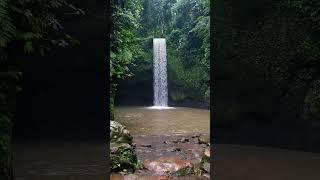 Tibumana waterfall Bali 2024 #bali #ubud #waterfall waterfall #tibumanawaterfall #travel