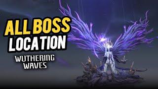 All Boss Location - All Boss Fight (Overlord & Calamity Echo) | Wuthering Waves