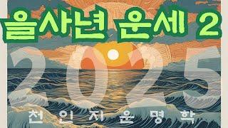 을사년 운세 2편 : 지지로 운세 보는법