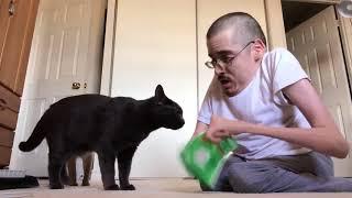 COME HERE KITTY KITTY  - Ricky Berwick