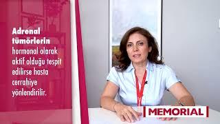 Adrenal tümör nedir? - Doç. Dr. Nazlı Gülsoy Kırnap (Endokrinoloji ve Metabolizma Hastalıkları)