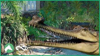 Gharial Indoor Habitat | Elm Hill City Zoo | Planet Zoo