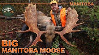 BIG Moose in Manitoba | Canada in the Rough