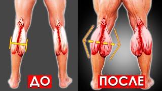 Делай ЭТИ УПРАЖНЕНИЯ, Чтобы Быстро Накачать Икры в Домашних Условиях