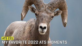 Approaching The Scene 231: My Favorite 2022 ATS Moments